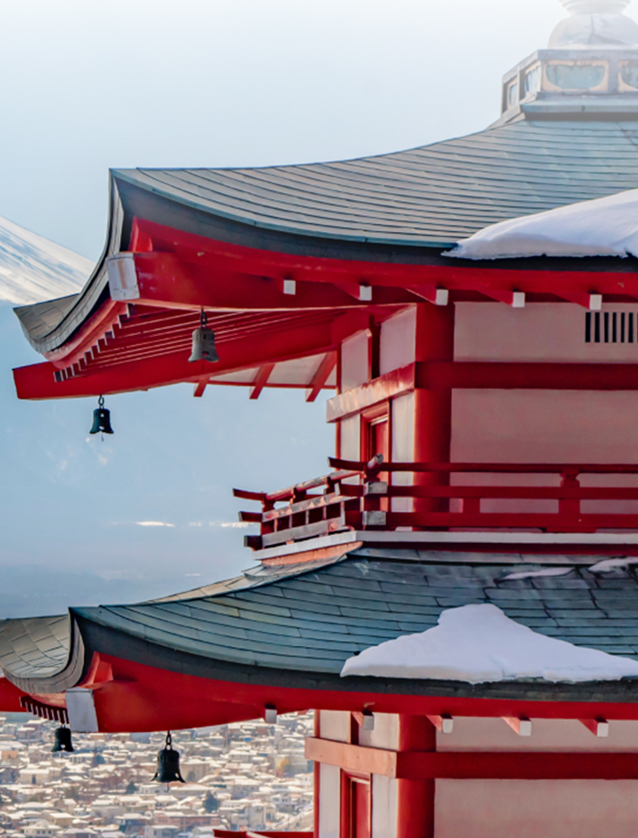 地域と世界をつなぐ、